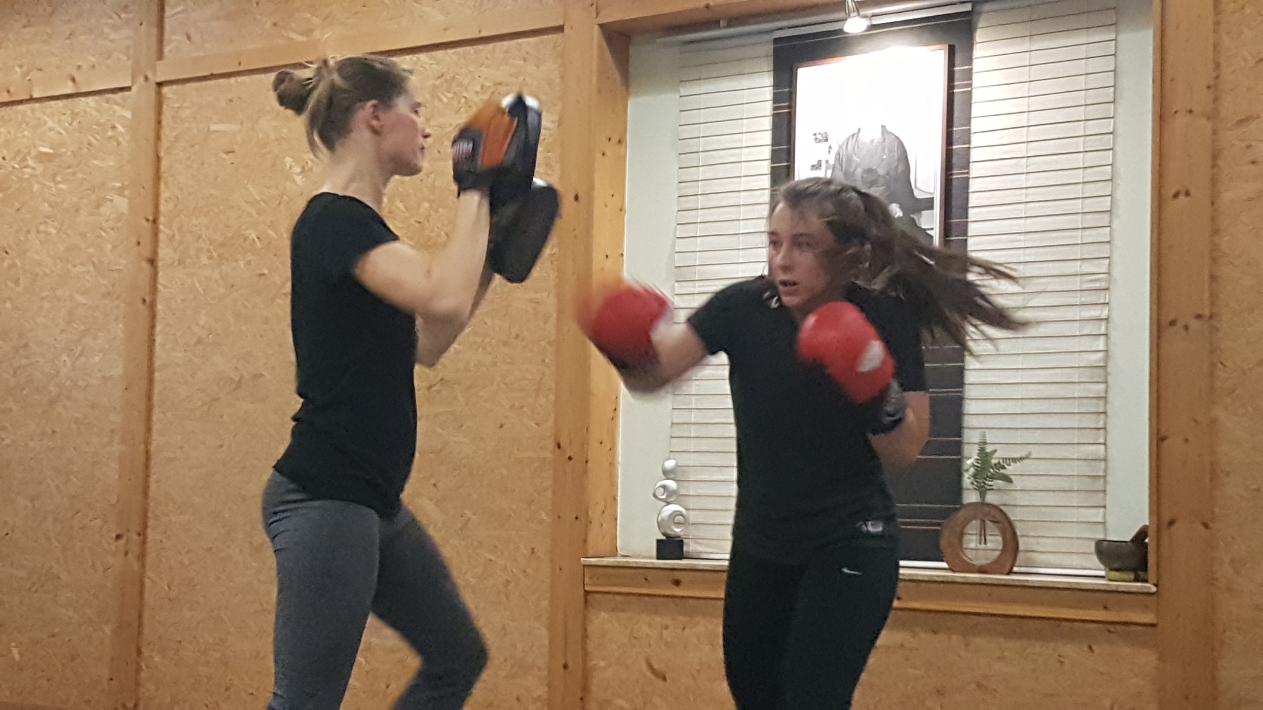 Schlagtraining an Pratzen.