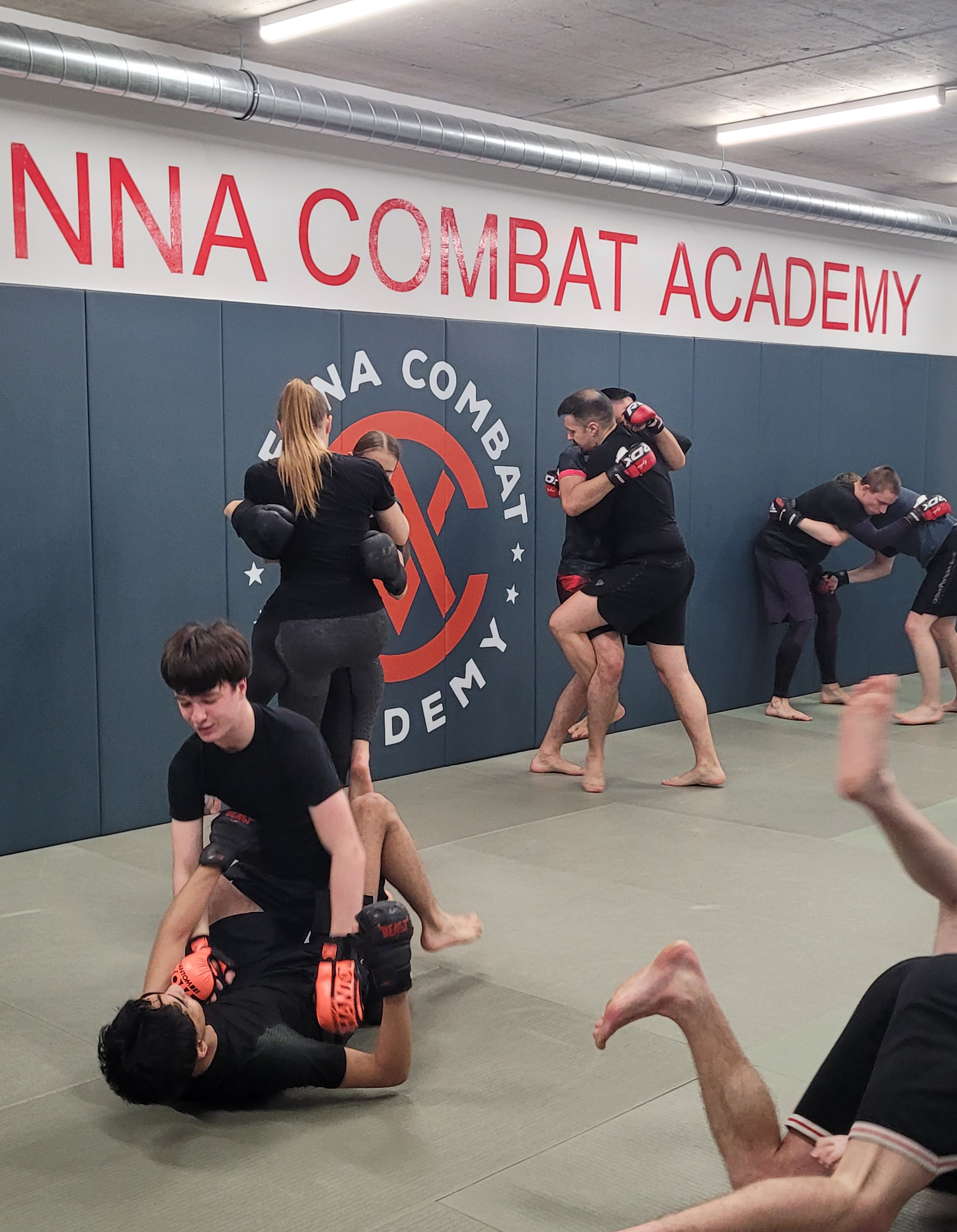 Vienna Combat Academy Training in Wien